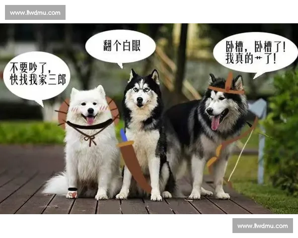 电竞圈又添新CP粉丝们嗑糖磕到飞起，是真的吗